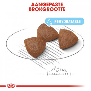 Royal Canin Medium Starter Mother and Babydog