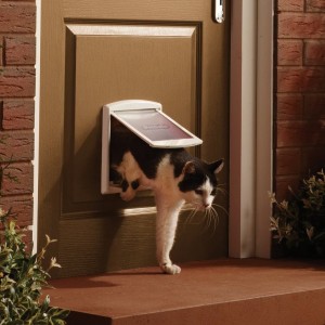 Staywell Original Small Pet Door 715