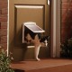 Staywell Original Small Pet Door 715