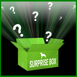 Afbeelding Brekz Surprise Box Limited Edition voor honden Per stuk door Brekz.nl