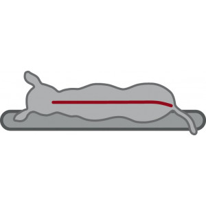 Coussin orthopédique Bendson pour chien