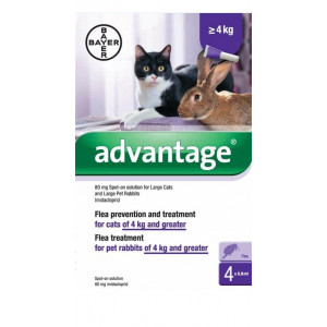 Advantage Nr. 80, Vlooienmiddel (vanaf 4kg) kat