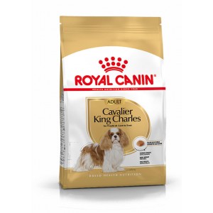 Royal Canin Adult Cavalier King Charles hondenvoer 3 kg