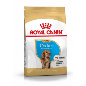 Afbeelding Royal Canin Junior Cocker Spaniel hondenvoer 3 kg door Brekz.nl