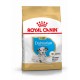 Royal Canin Puppy Dalmatiër hondenvoer