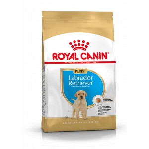 Afbeelding Royal Canin Labrador Retriever Junior 12Kg door Brekz.nl