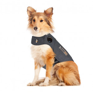Thundershirt voor honden