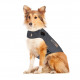 Thundershirt voor honden