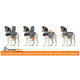 Thundershirt voor honden