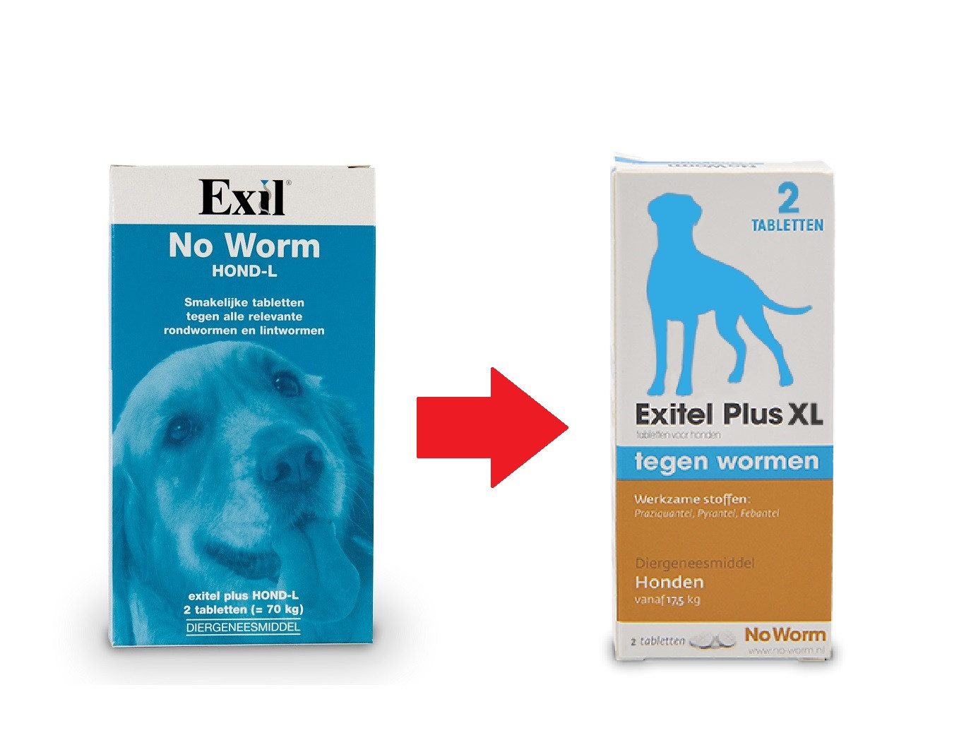 Exil No Worm Hond L 