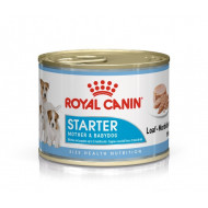 Royal Canin Starter Mother & Babydog natvoer hond (mousse) 1 tray (12 x 195 g)