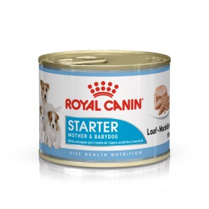 Royal Canin Starter Mousse Mother & Babydog (blik 195 g) 1 tray (12 x 195 g) afbeelding
