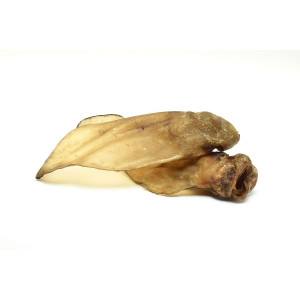 Afbeelding Brekz - Runderoren XL met schelp Voor Honden 10 stuks door Brekz.nl