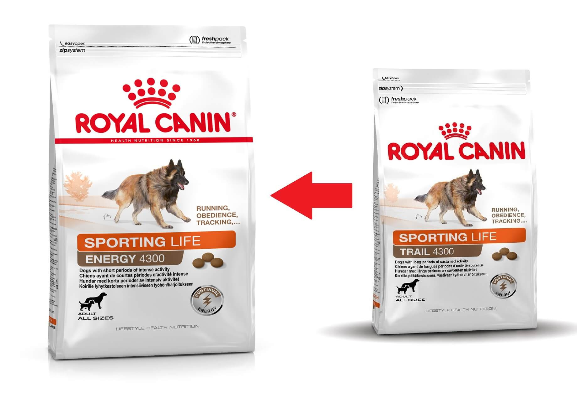 Royal Canin Sporting Energy 4300 hondenvoer