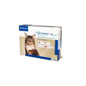 Virbac Effipro Duo Spot-on voor katten van 6 tot 12 kg 3 x 4 pipetten