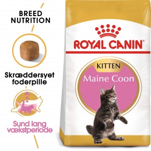 Afbeelding Royal Canin Kitten Maine Coon kattenvoer 10 kg door Brekz.nl
