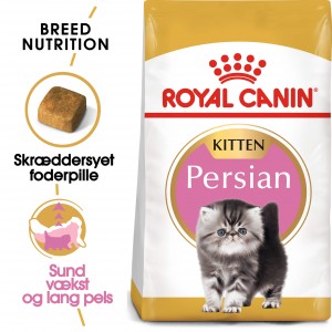 Afbeelding Royal Canin Kitten Persian kattenvoer 10 kg door Brekz.nl