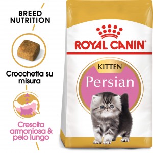 Afbeelding Royal Canin Kitten Persian kattenvoer 4 kg door Brekz.nl