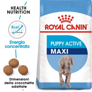 Afbeelding Royal Canin Maxi Puppy Active hondenvoer 15 kg door Brekz.nl