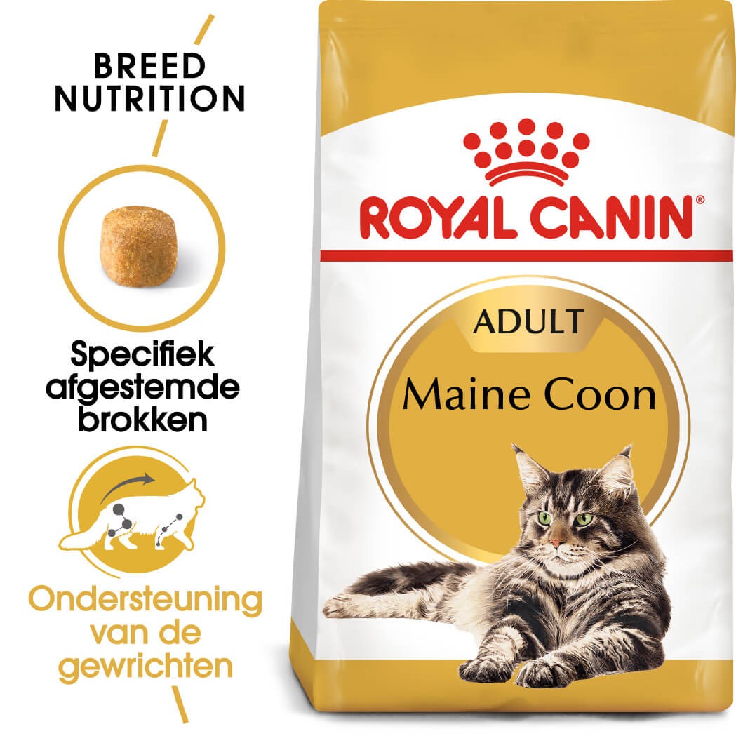 Royal Canin Maine Coon Adult kattenvoer Tot 40% goedkoper