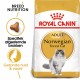 Royal Canin Adult Norwegian Forest Cat kattenvoer