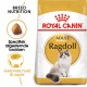 Royal Canin Adult Ragdoll kattenvoer