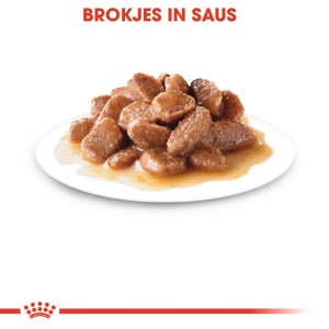 Royal Canin Instinctive 7+ kattenvoer in gravy 12 zakjes