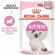 Royal Canin Kitten natvoer in gravy (85 g)