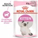 Royal Canin Kitten natvoer in gravy (85 g)