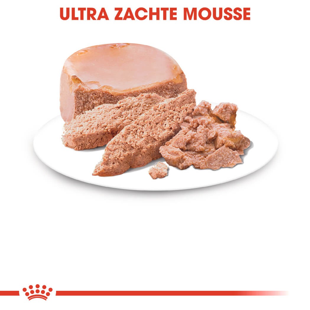 Royal Canin Mother & Babycat Mousse kattenvoer