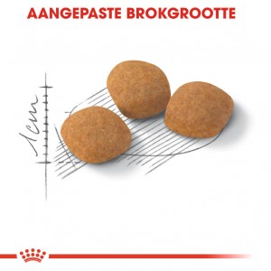 Royal Canin Protein Exigent kattenvoer