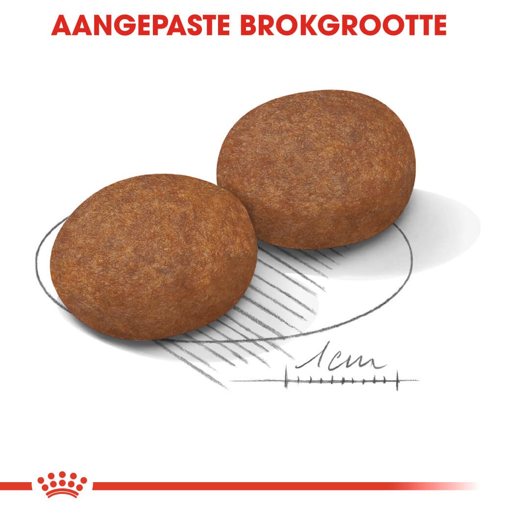 Royal Canin Medium Adult 7+ hondenvoer