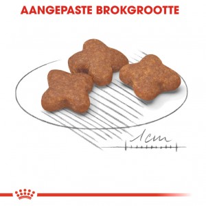 Royal Canin Mini Adult 8+ hondenvoer