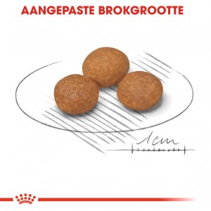 Royal Canin X-Small Adult 8+ hondenvoer