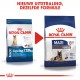 Royal canin Maxi Ageing 8+ hondenvoer