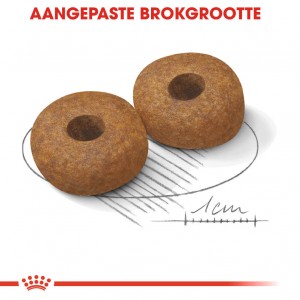 Royal Canin Medium Ageing 10+ hondenvoer