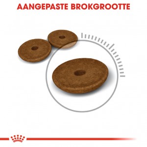 Royal Canin Digestive Care kattenvoer
