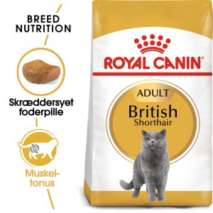 Afbeelding Royal Canin Adult British Shorthair kattenvoer 2 kg door Brekz.nl