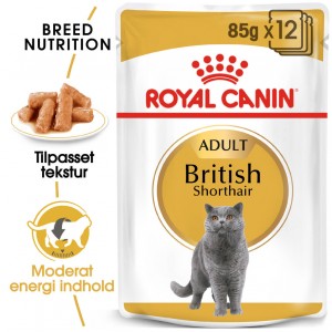 Afbeelding Royal Canin British Shorthair Adult Pouch 12 zakjes door Brekz.nl
