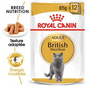 Afbeelding Royal Canin British Shorthair Adult Pouch 12 zakjes door Brekz.nl