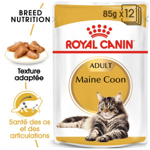 Afbeelding Royal Canin Maine Coon Adult Pouch 12 zakjes door Brekz.nl