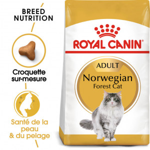 Afbeelding Royal Canin Adult Norwegian Forest Cat kattenvoer 10 kg door Brekz.nl