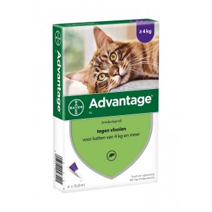 caravan Je zal beter worden worm Advantage Nr. 80, Vlooienmiddel (vanaf 4kg) kat