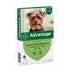 Advantage Nr. 40, vlooienmiddel voor honden