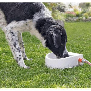 Afbeelding Trixie Automatische Outdoor Drinkbak door Brekz.nl