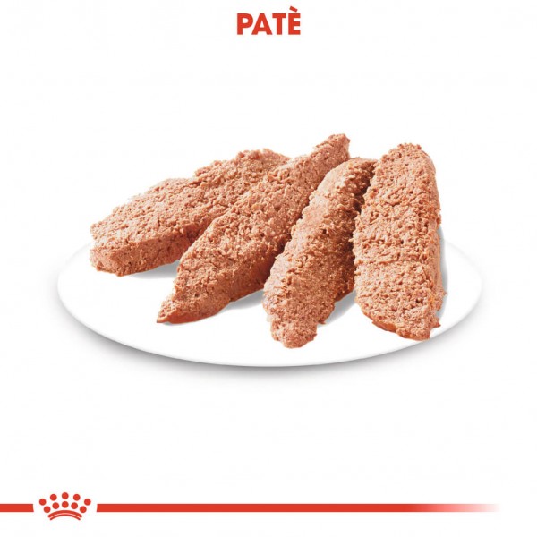 Royal Canin Royal Canin Coat Care natvoer hond (paté) 2 dozen (24 x 85 g)