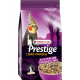 Prestige Premium Australian Parakeet