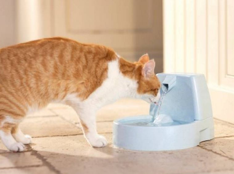 Petsafe Drinkwell Mini voor hond en kat