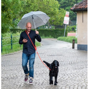 Afbeelding H5D Leisure Clic Schouderlijn voor de hond Blauw - 13 mm X 250 cm door Brekz.nl