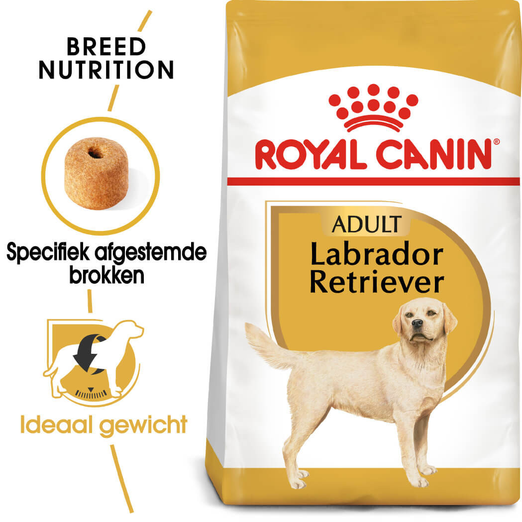 Labrador Retriever Royal Canin